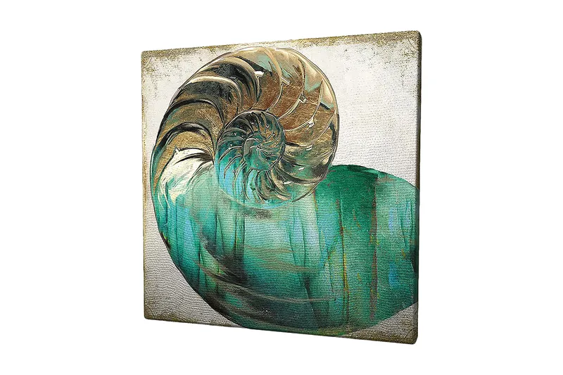 Lerretsbilde 45x45 cm - Skjell med spiralstruktur og turkise fargetoner, Turkis / Gull / Hvit