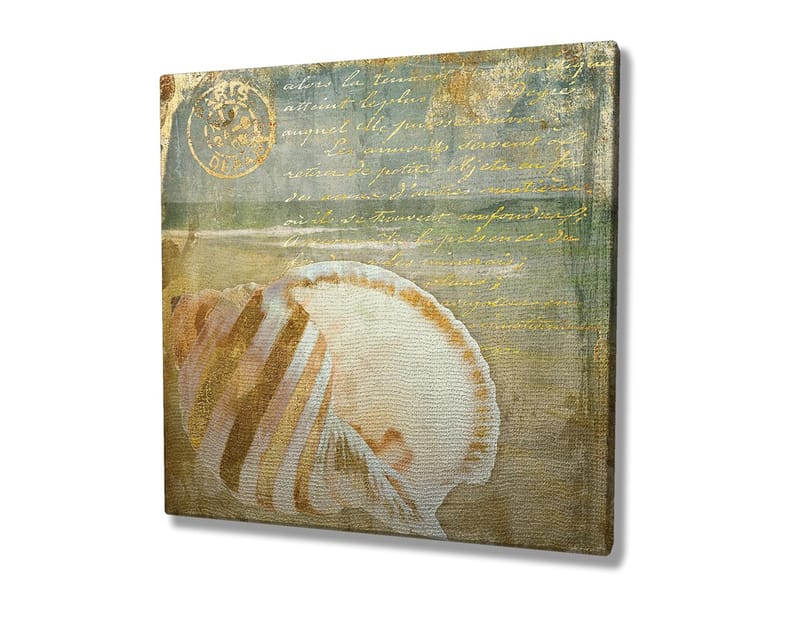 Lerretsbilde 45x45 cm - Skjell med subtile detaljer og teksturer - Beige / Blå / Grønn - Interiør - Maleri & posters - Lerretsbilder