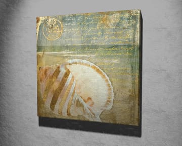 Lerretsbilde 45x45 cm - Skjell med subtile detaljer og teksturer - Beige / Blå / Grønn - Interiør - Maleri & posters - Lerretsbilder
