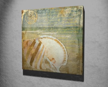 Lerretsbilde 45x45 cm - Skjell med subtile detaljer og teksturer - Beige / Blå / Grønn - Interiør - Maleri & posters - Lerretsbilder
