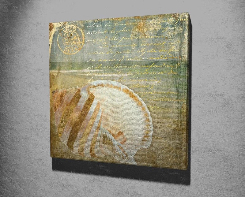 Lerretsbilde 45x45 cm - Skjell med subtile detaljer og teksturer - Beige / Blå / Grønn - Interiør - Maleri & posters - Lerretsbilder