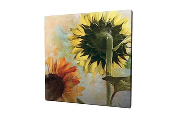 Lerretsbilde 45x45 cm - Solsikker i sterke farger - Gul / Oransje / Grønn - Interiør - Maleri & posters - Lerretsbilder