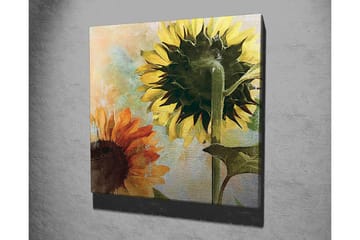 Lerretsbilde 45x45 cm - Solsikker i sterke farger - Gul / Oransje / Grønn - Interiør - Maleri & posters - Lerretsbilder