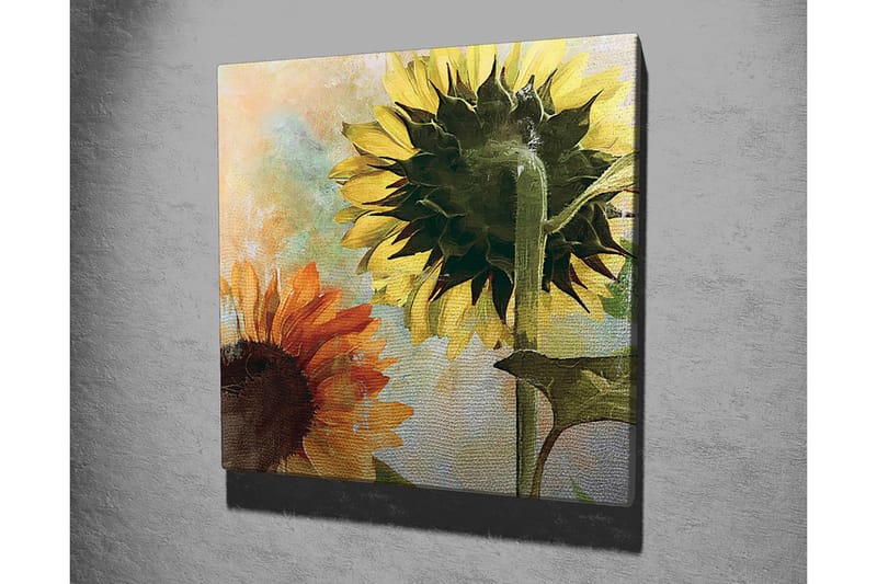 Lerretsbilde 45x45 cm - Solsikker i sterke farger - Gul / Oransje / Grønn - Interiør - Maleri & posters - Lerretsbilder