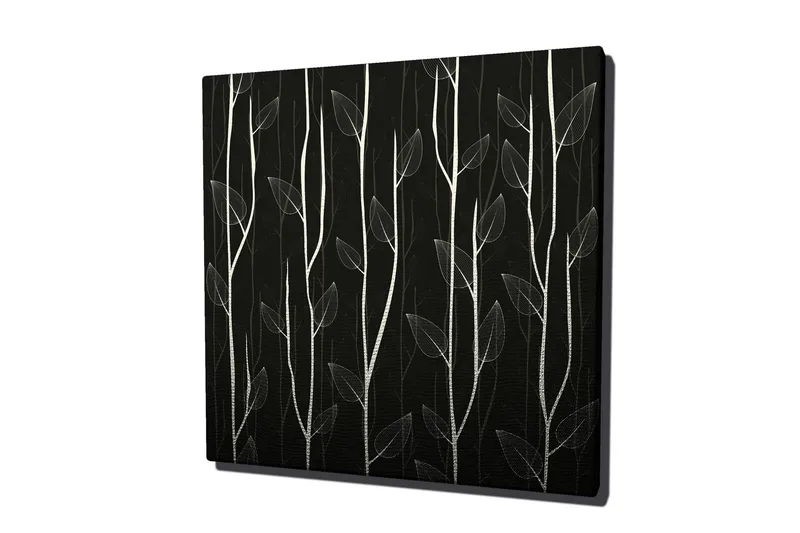 Lerretsbilde 45x45 cm - Stiliserte planter mot en mørk bakgrunn - Hvit / Svart - Interiør - Maleri & posters - Lerretsbilder