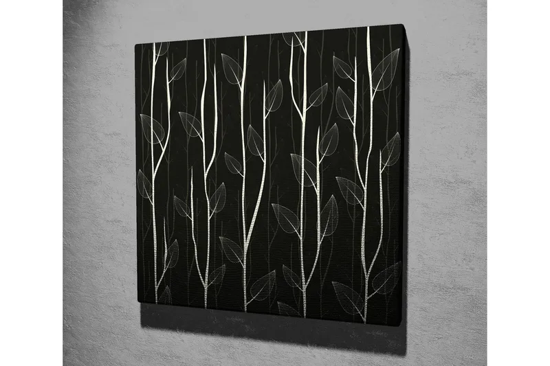 Lerretsbilde 45x45 cm - Stiliserte planter mot en mørk bakgrunn - Hvit / Svart - Interiør - Maleri & posters - Lerretsbilder