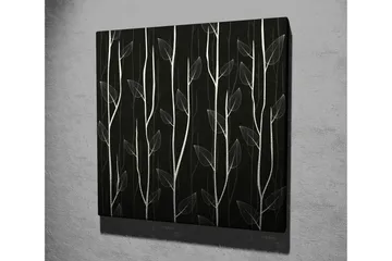 Lerretsbilde 45x45 cm - Stiliserte planter mot en mørk bakgrunn - Hvit / Svart - Interiør - Maleri & posters - Lerretsbilder