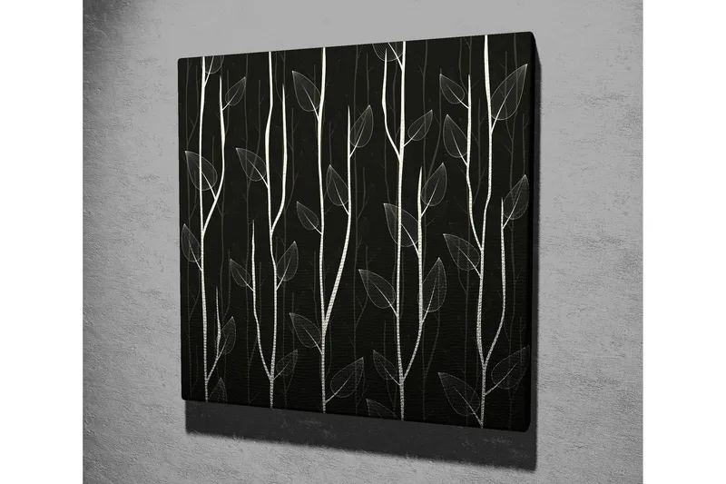 Lerretsbilde 45x45 cm - Stiliserte planter mot en mørk bakgrunn - Hvit / Svart - Interiør - Maleri & posters - Lerretsbilder