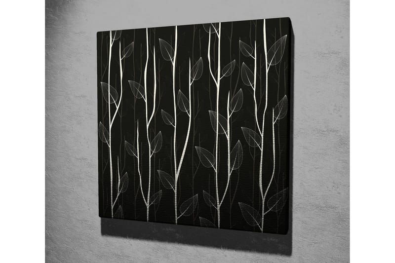 Lerretsbilde 45x45 cm - Stiliserte planter mot en mørk bakgrunn - Hvit / Svart - Interiør - Maleri & posters - Lerretsbilder