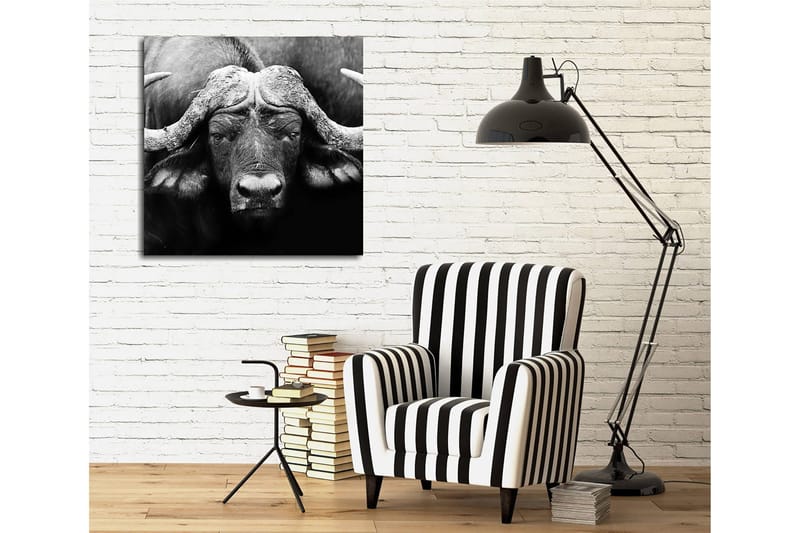 Lerretsbilde 45x45 cm - Storslått bøffel med kraftige horn - Svart / Grå - Interiør - Maleri & posters - Lerretsbilder
