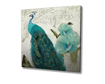 Lerretsbilde 45x45 cm - Storslått påfugl med detaljerte fjær og blomster i bakgrunnen - Turkis / Grønn / Hvit - Interiør - Maleri & posters - Lerretsbilder