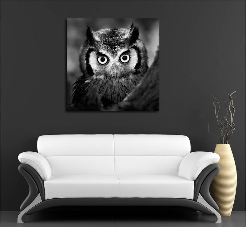 Lerretsbilde 45x45 cm - Svart-hvitt nærbilde av ugle med frostsprutede fjær og gjennomtrengende blikk - Svart / Hvit - Interiør - Maleri & posters - Lerretsbilder