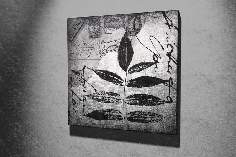 Lerretsbilde 45x45 cm - Svart silhuett av blader mot grå bakgrunn med håndskrevet tekst og poststempler - Svart / Grå - Interiør - Maleri & posters - Lerretsbilder