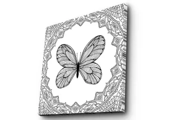 Lerretsbilde 45x45 cm - Svart sommerfugl med detaljert mønsterramme - Svart / Hvit - Interiør - Maleri & posters - Lerretsbilder