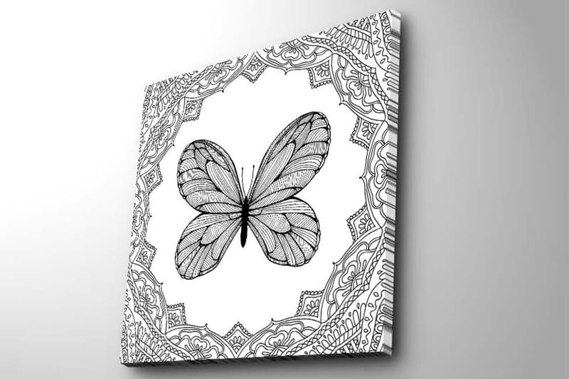 Lerretsbilde 45x45 cm - Svart sommerfugl med detaljert mønsterramme - Svart / Hvit - Interiør - Maleri & posters - Lerretsbilder