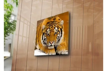 Lerretsbilde 45x45 cm - Tiger ligger på snøen med intenst blikk - Oransje / Svart / Hvit - Interiør - Maleri & posters - Lerretsbilder