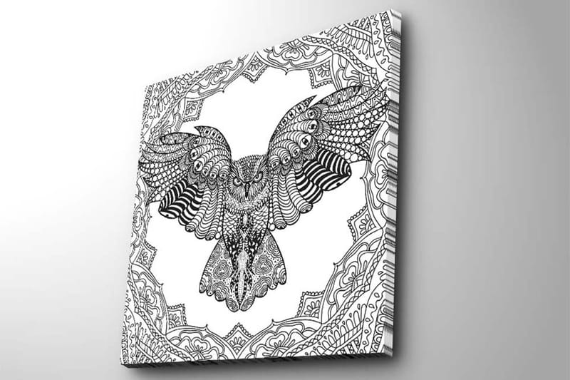 Lerretsbilde 45x45 cm - Ugle i detaljert, svart-hvitt-stil - Svart / Hvit - Interiør - Maleri & posters - Lerretsbilder