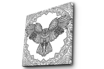 Lerretsbilde 45x45 cm - Ugle i detaljert, svart-hvitt-stil - Svart / Hvit - Interiør - Maleri & posters - Lerretsbilder