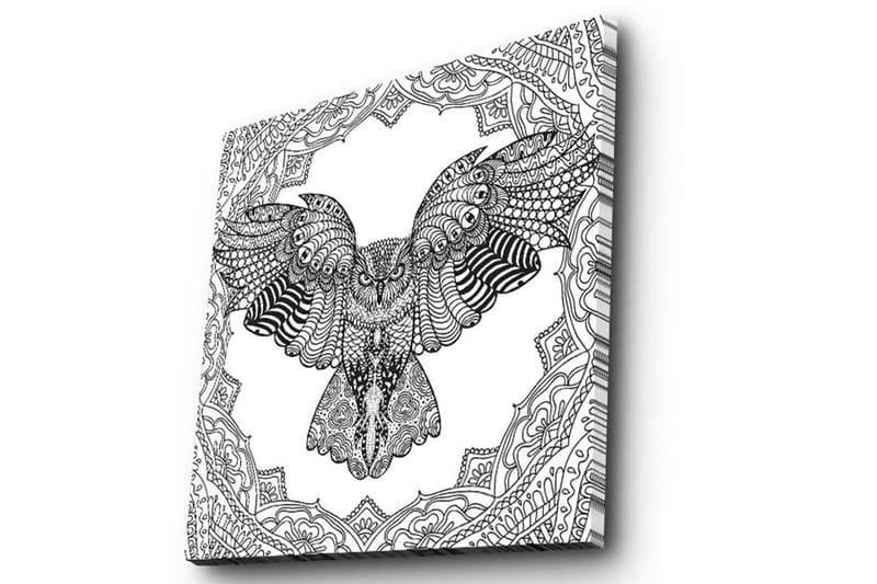 Lerretsbilde 45x45 cm - Ugle i detaljert, svart-hvitt-stil - Svart / Hvit - Interiør - Maleri & posters - Lerretsbilder