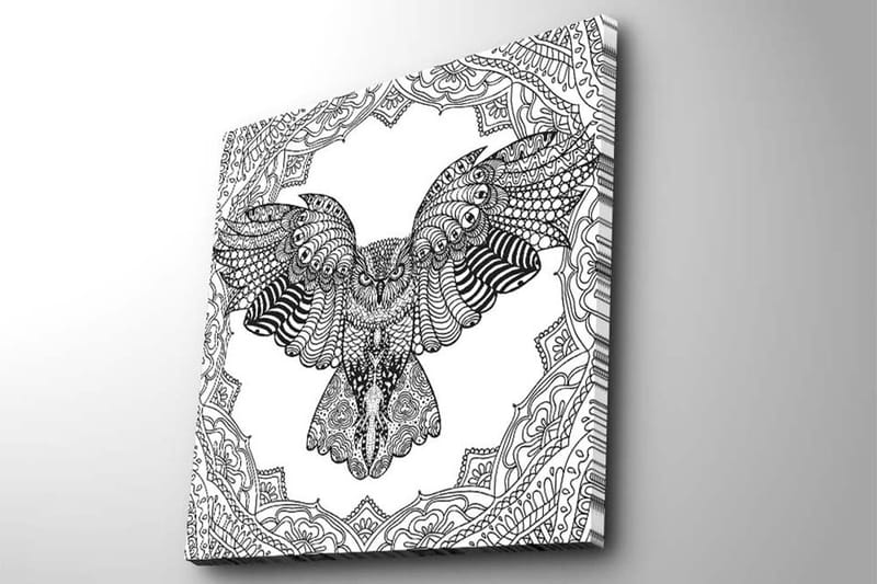 Lerretsbilde 45x45 cm - Ugle i detaljert, svart-hvitt-stil - Svart / Hvit - Interiør - Maleri & posters - Lerretsbilder