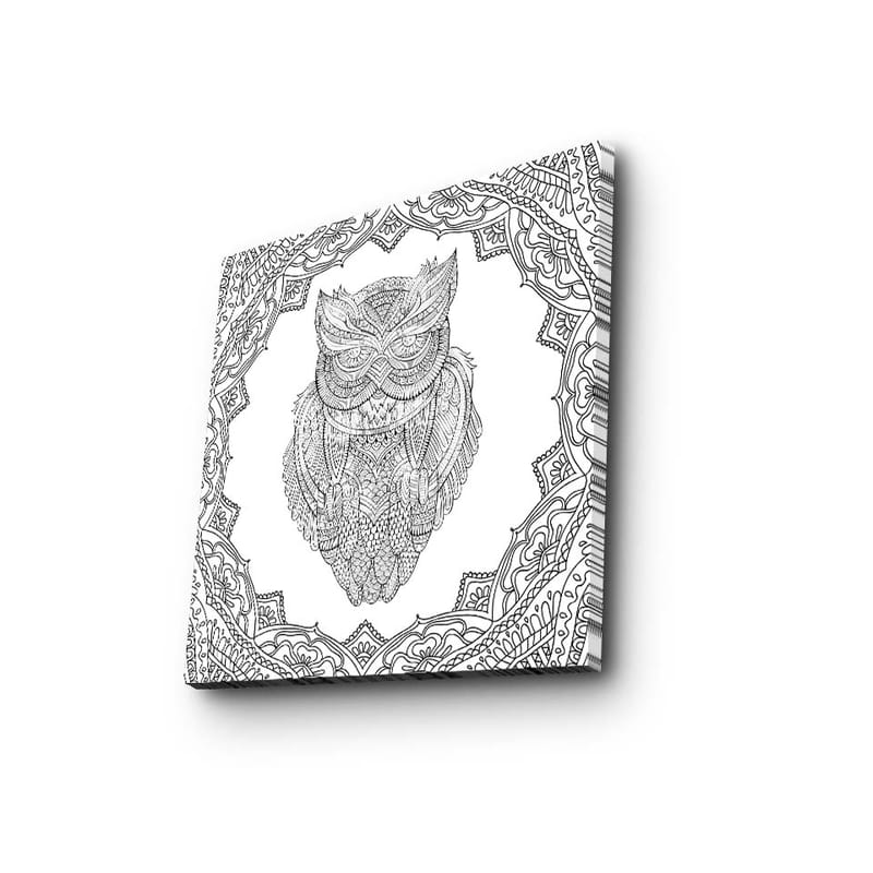 Lerretsbilde 45x45 cm - Ugle i detaljert strektegning omgitt av ornamentale mønstre - Svart / Hvit - Interiør - Maleri & posters - Lerretsbilder