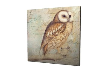 Lerretsbilde 45x45 cm - Ugle med detaljert fjærdrakt - Beige / Brun / Lys blå - Interiør - Maleri & posters - Lerretsbilder