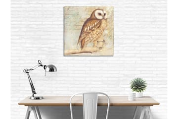 Lerretsbilde 45x45 cm - Ugle med detaljert fjærdrakt - Beige / Brun / Lys blå - Interiør - Maleri & posters - Lerretsbilder