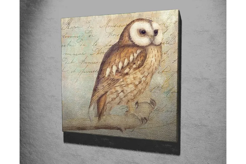 Lerretsbilde 45x45 cm - Ugle med detaljert fjærdrakt - Beige / Brun / Lys blå - Interiør - Maleri & posters - Lerretsbilder