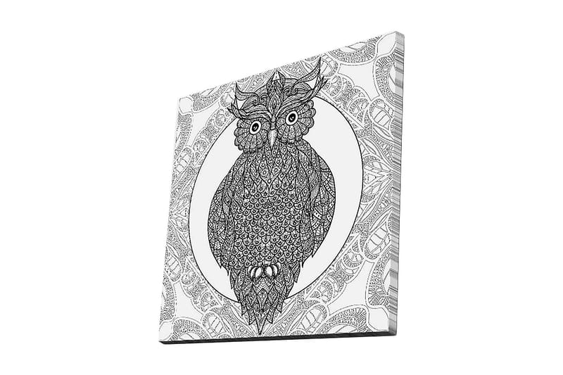 Lerretsbilde 45x45 cm - Ugle med intrikate mønstre i svart-hvitt, Svart / Hvit
