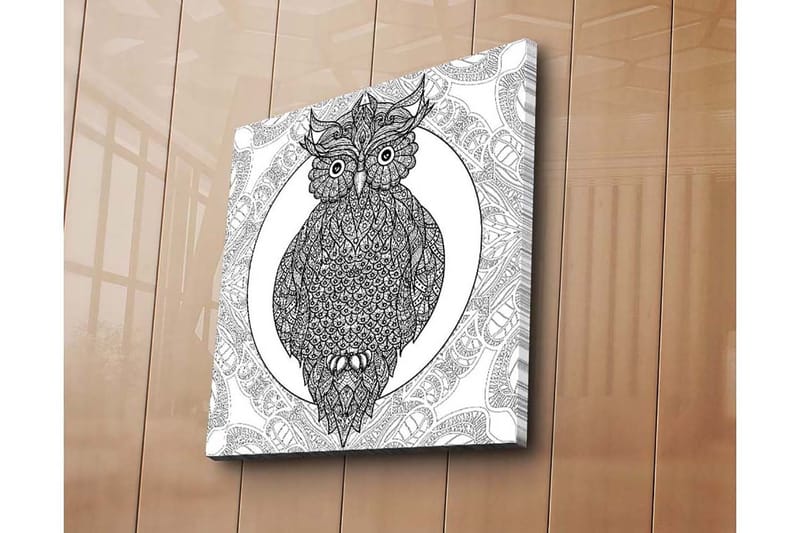 Lerretsbilde 45x45 cm - Ugle med intrikate mønstre i svart-hvitt - Svart / Hvit - Interiør - Maleri & posters - Lerretsbilder