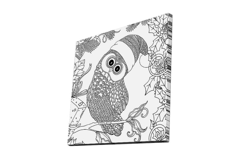 Lerretsbilde 45x45 cm - Ugle med nisselue omgitt av juledetaljer, Svart / Hvit