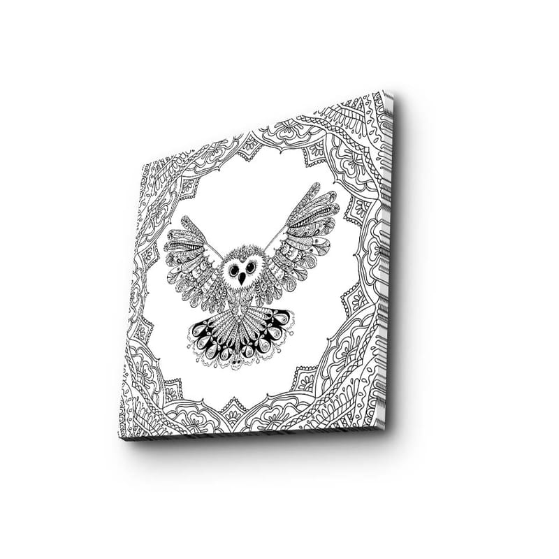 Lerretsbilde 45x45 cm - Ugle med utstrakte vinger i en detaljert ramme, Svart / Hvit