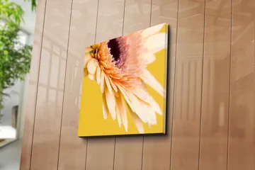 Lerretsbilde 45x45 cm - Vakker blomst med fargerike kronblader og vanndråper - Lys rosa / Gul / Lilla - Interiør - Maleri & posters - Lerretsbilder