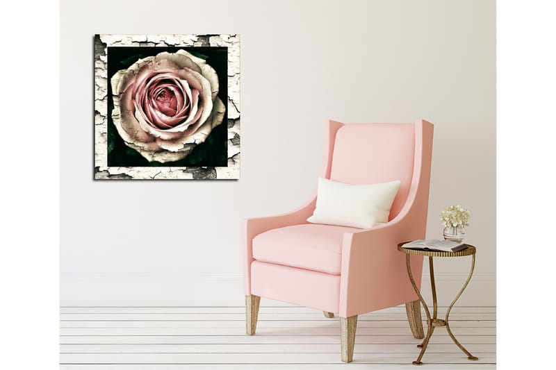 Lerretsbilde 45x45 cm - Vakker rose med detaljert tekstur og fargenyanser - Rosa / Grå / Svart - Interiør - Maleri & posters - Lerretsbilder