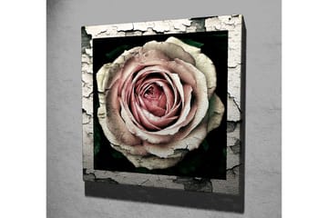 Lerretsbilde 45x45 cm - Vakker rose med detaljert tekstur og fargenyanser - Rosa / Grå / Svart - Interiør - Maleri & posters - Lerretsbilder