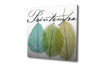 Lerretsbilde 45x45 cm - Vakre blader i forskjellige grønnfarger - Grønn / Lys blå / Gulgrønn - Interiør - Maleri & posters - Lerretsbilder