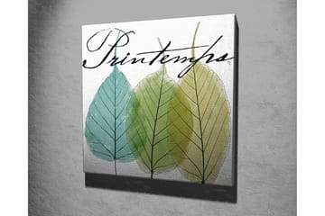 Lerretsbilde 45x45 cm - Vakre blader i forskjellige grønnfarger - Grønn / Lys blå / Gulgrønn - Interiør - Maleri & posters - Lerretsbilder