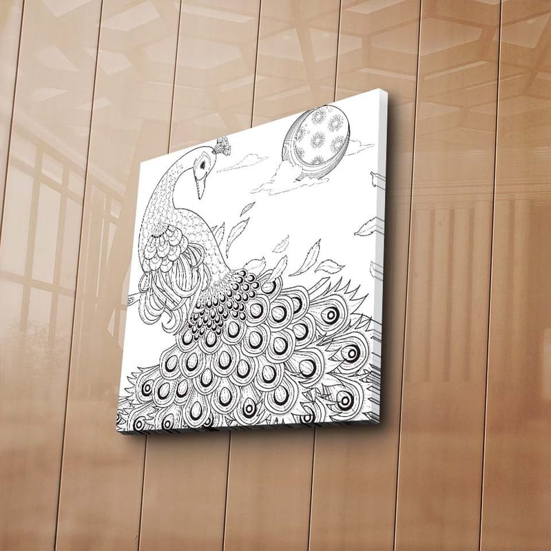 Lerretsbilde 45x45 cm - Påfugl med detaljert fjærdrakt - Svart / Hvit - Interiør - Maleri & posters - Lerretsbilder