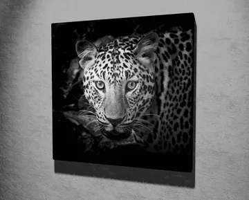 Lerretsbilde 45x45 cm - Portrett av en leopard med intense øyne - Svart / Hvit / Grå - Interiør - Maleri & posters - Lerretsbilder