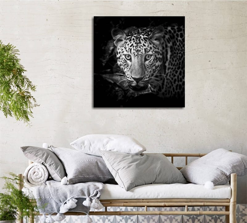 Lerretsbilde 45x45 cm - Portrett av en leopard med intense øyne - Svart / Hvit / Grå - Interiør - Maleri & posters - Lerretsbilder