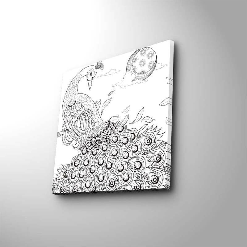 Lerretsbilde 45x45 cm - Påfugl med detaljert fjærdrakt - Svart / Hvit - Interiør - Maleri & posters - Lerretsbilder