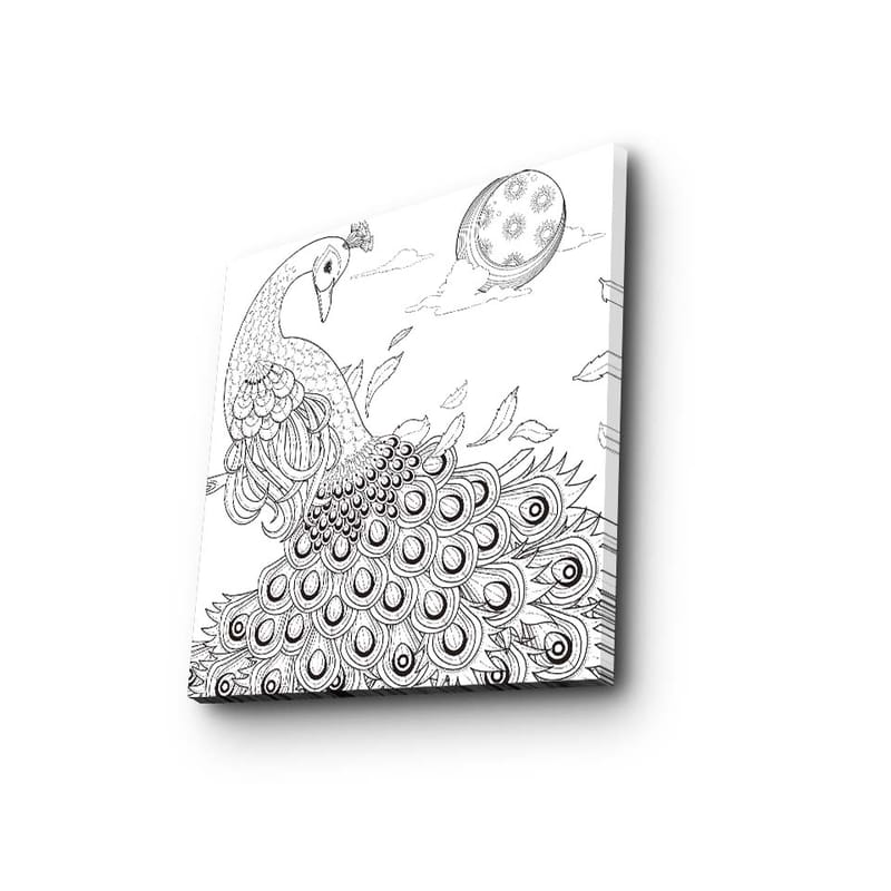 Lerretsbilde 45x45 cm - Påfugl med detaljert fjærdrakt, Svart / Hvit
