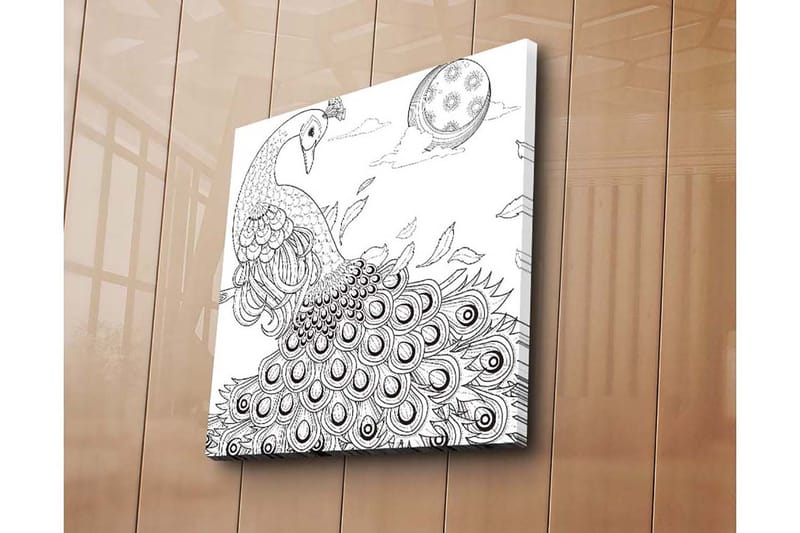 Lerretsbilde 45x45 cm - Påfugl med spredte fjær i en detaljert komposisjon - Svart / Hvit - Interiør - Maleri & posters - Lerretsbilder