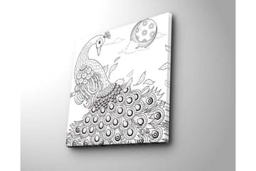 Lerretsbilde 45x45 cm - Påfugl med spredte fjær i en detaljert komposisjon - Svart / Hvit - Interiør - Maleri & posters - Lerretsbilder