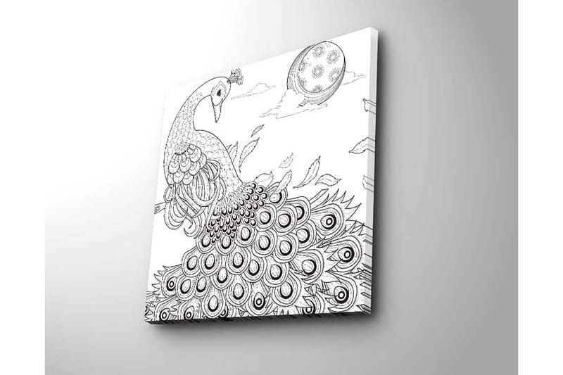 Lerretsbilde 45x45 cm - Påfugl med spredte fjær i en detaljert komposisjon - Svart / Hvit - Interiør - Maleri & posters - Lerretsbilder