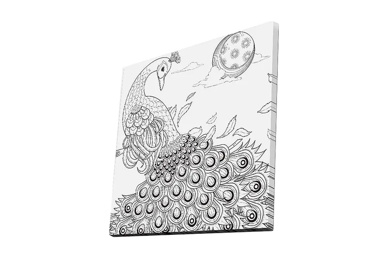 Lerretsbilde 45x45 cm - Påfugl med spredte fjær i en detaljert komposisjon, Svart / Hvit