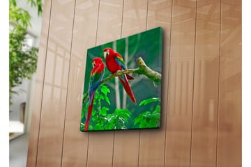 Lerretsbilde 45x45 cm - Par fargerike papegøyer på en gren - Rød / Grønn / Blå - Interiør - Maleri & posters - Lerretsbilder