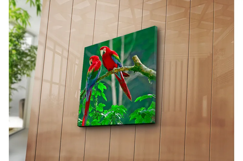 Lerretsbilde 45x45 cm - Par fargerike papegøyer på en gren - Rød / Grønn / Blå - Interiør - Maleri & posters - Lerretsbilder