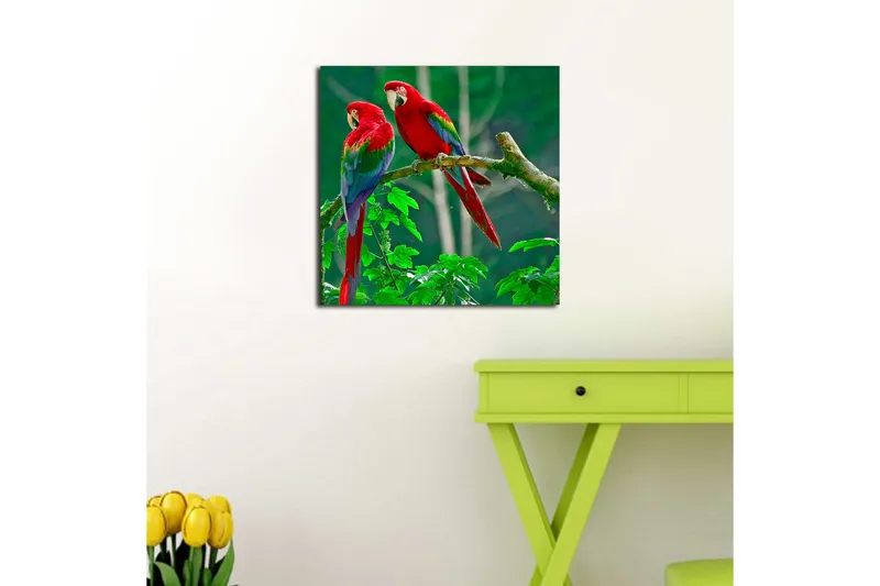Lerretsbilde 45x45 cm - Par fargerike papegøyer på en gren - Rød / Grønn / Blå - Interiør - Maleri & posters - Lerretsbilder