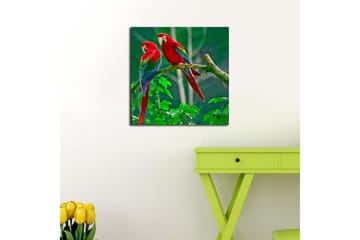 Lerretsbilde 45x45 cm - Par fargerike papegøyer på en gren - Rød / Grønn / Blå - Interiør - Maleri & posters - Lerretsbilder